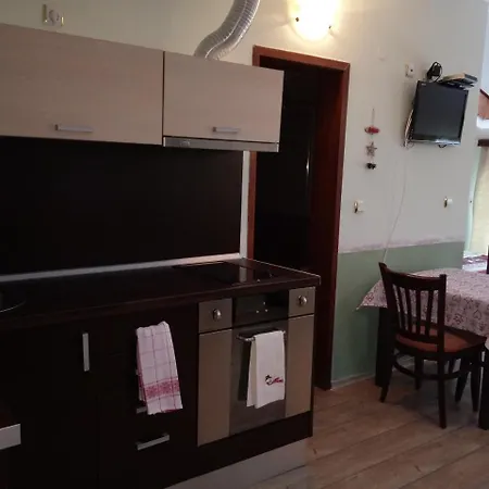 호텔 Vlahvi's House 2*