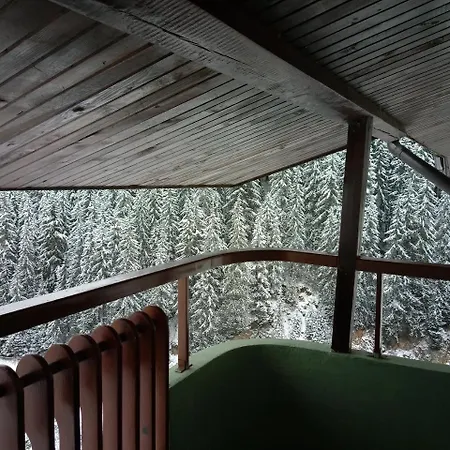 Hotel Vlahvi's House