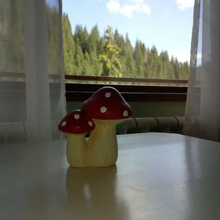 Vlahvi's House Hotel