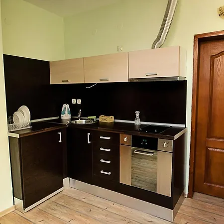 Hotell Vlahvi's House