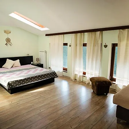 Vlahvi's House Hotel 2*