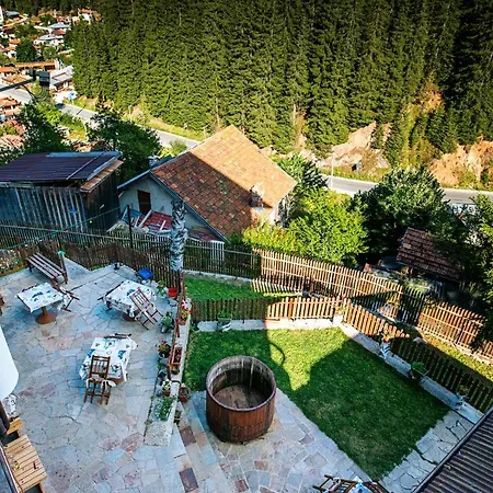Vlahvi's House