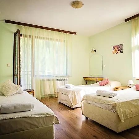 Vlahvi's House Stoykite